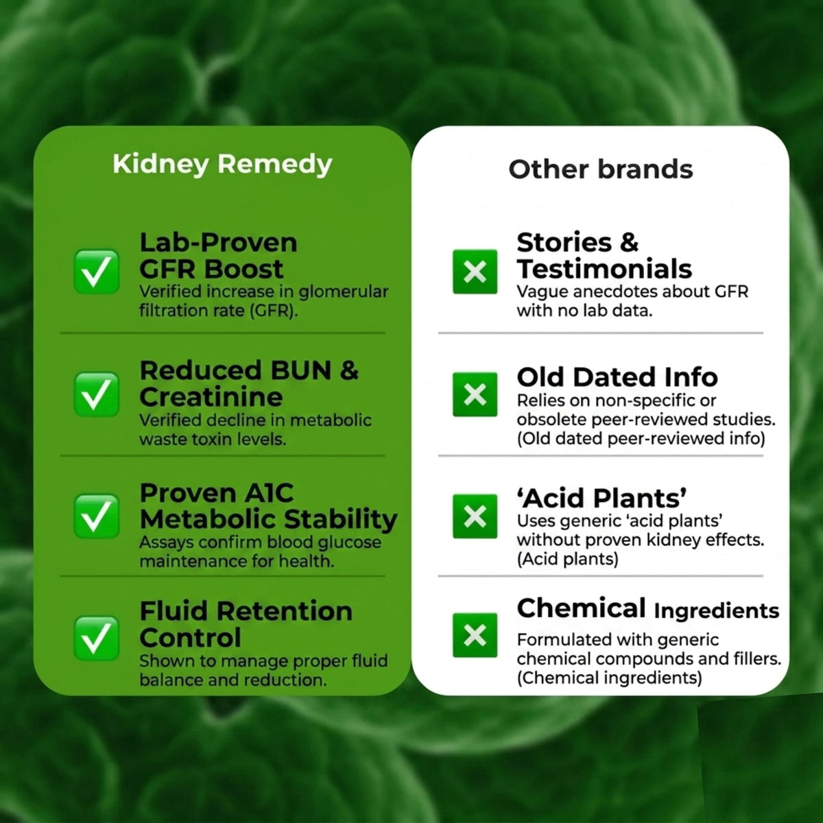 Kidney Remedy Herbal Therapy 2-PACK - Kidney Cleanse, Best For Dialysis (Save $120)